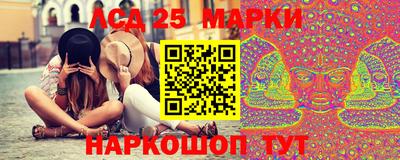 гидра Будённовск