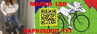 гидра Будённовск