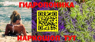 гидра Будённовск