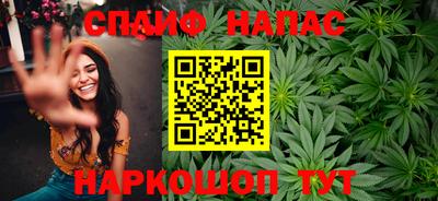 гидра Будённовск
