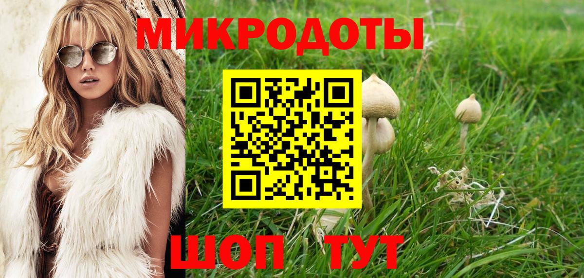 Псилоцибиновые грибы мицелий Снежинск