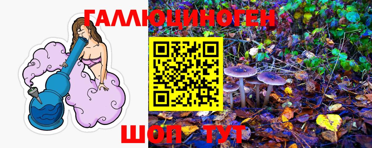 Снежинск  купить наркоту  Вход с VPN  Псилоцибиновые грибы Magic Shrooms  Псилоцибиновые грибы Psilocybe 